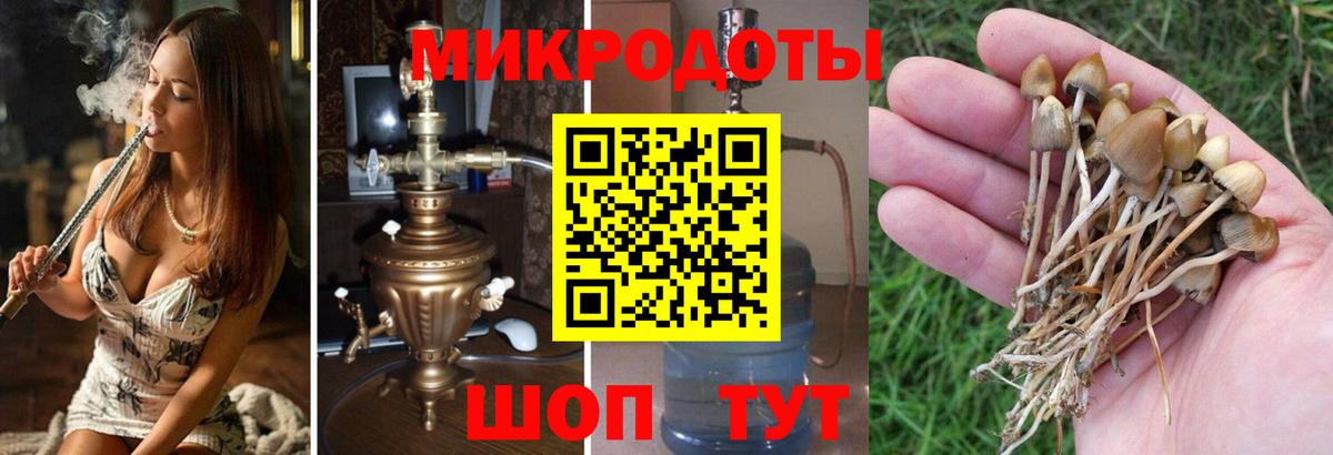 Псилоцибиновые грибы ЛСД  где продают   Вход с VPN  Горячий Ключ  Псилоцибиновые грибы прущие грибы 